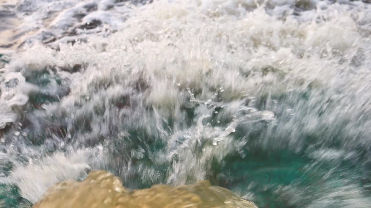 生物污染水。不洁净的城市污水视频素材