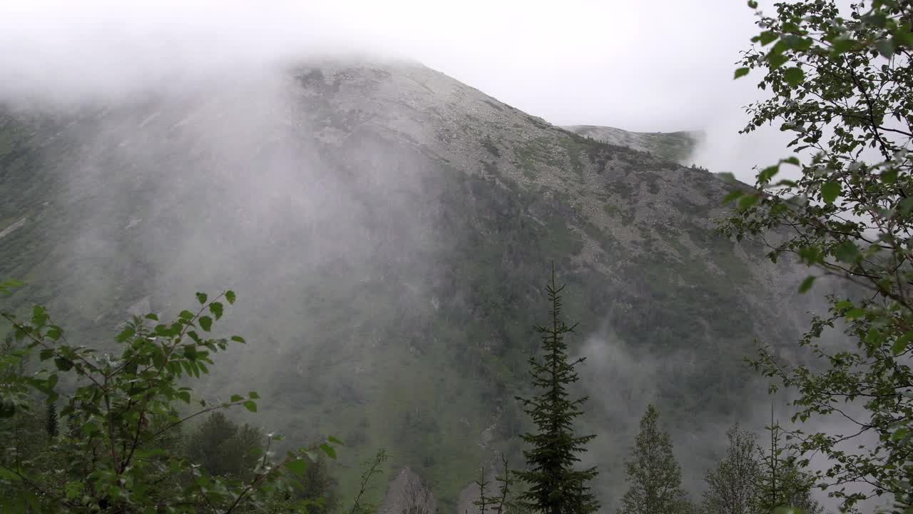 雾包围着山。风吹动树枝和轻云。阴雨绵绵的天在山谷中。视频素材