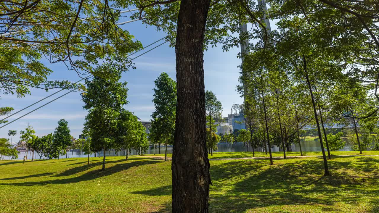 风景时间在马来西亚布城的一个夏日流逝。前景中的老树视频素材