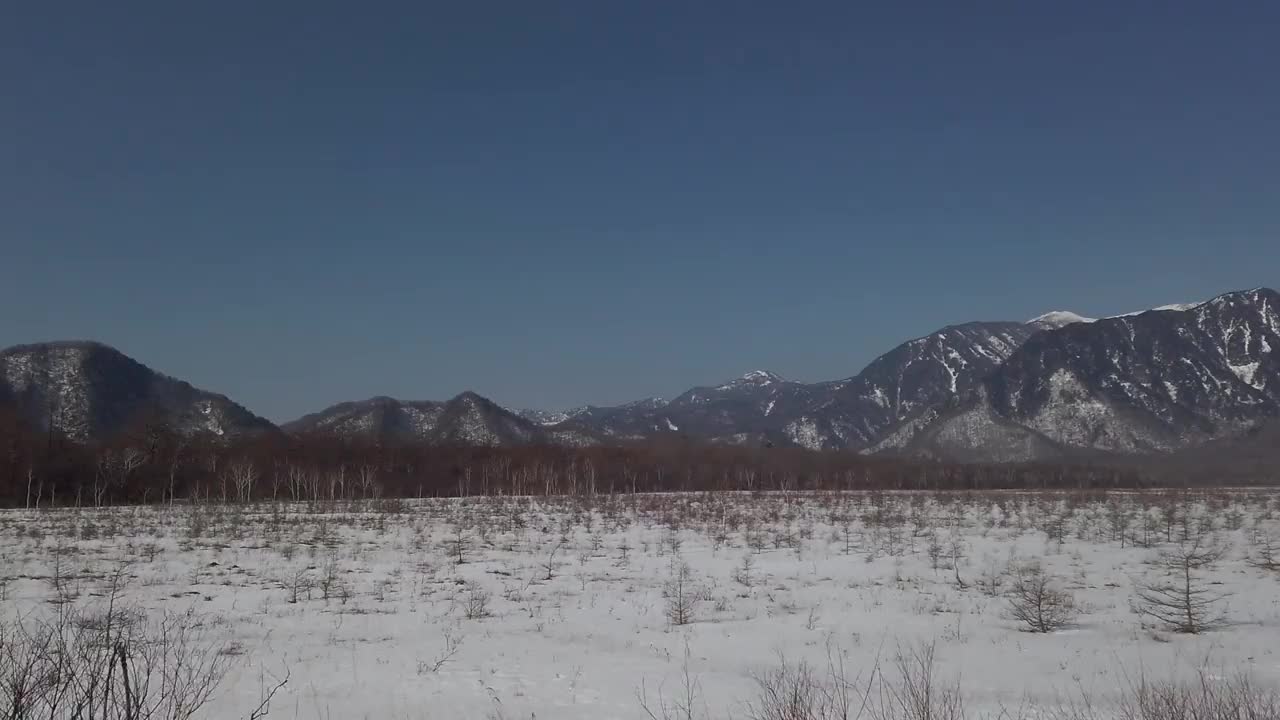 湿地视频素材