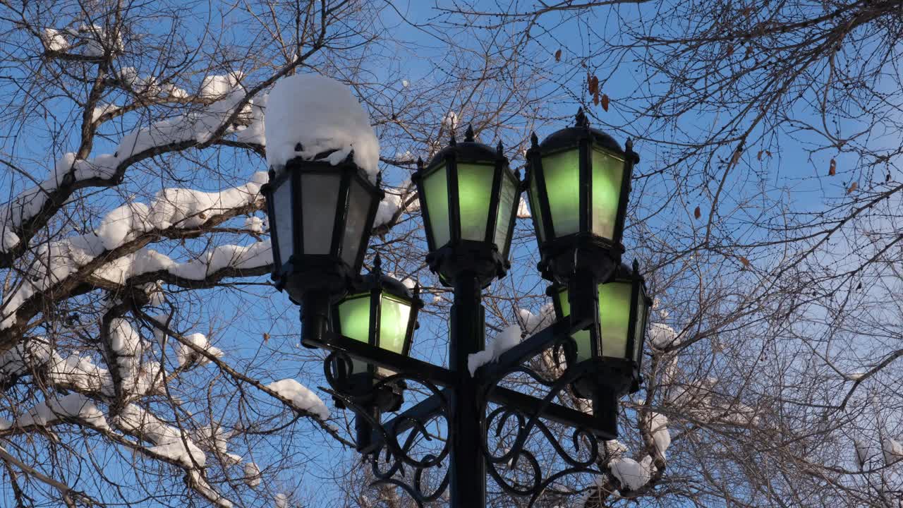 蓝蓝的天空下黄绿的路灯，白雪覆盖的树枝上黑色的剪影，视频素材