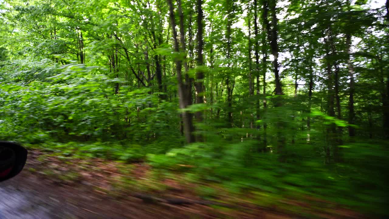 在一条穿过森林的道路上视频素材