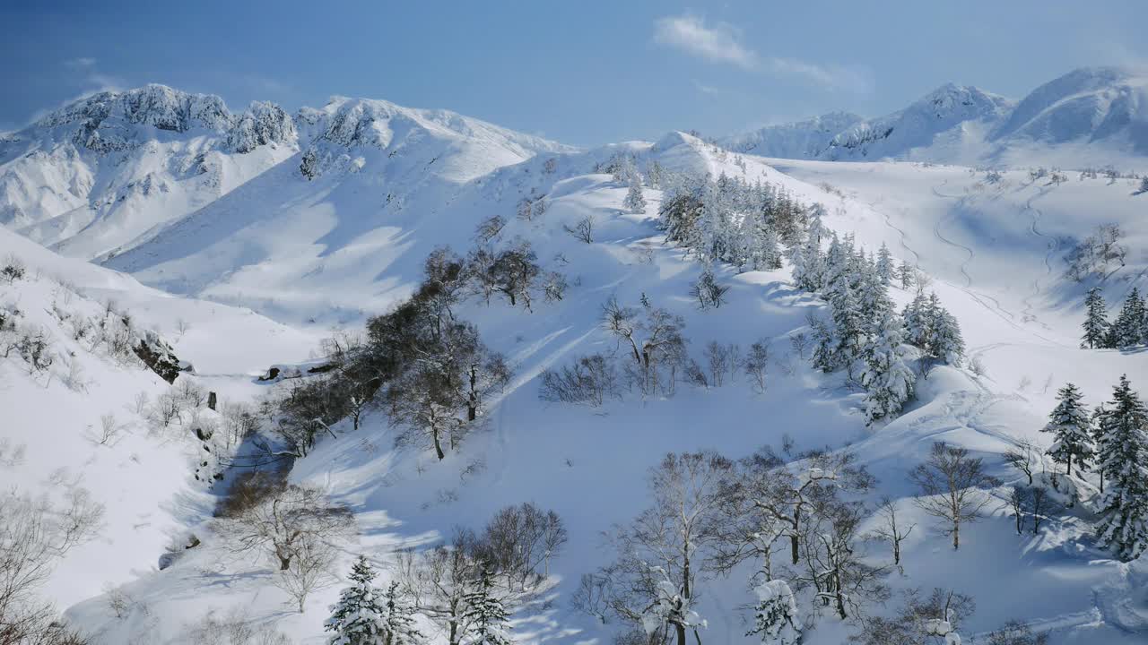 在日本北海道上村十胜山(Tokachi)的野外滑雪视频素材