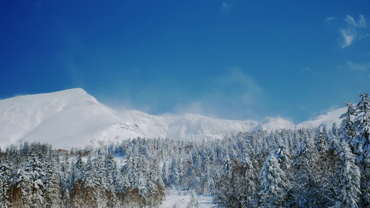 在日本北海道上村十胜山(Tokachi)的野外滑雪视频素材