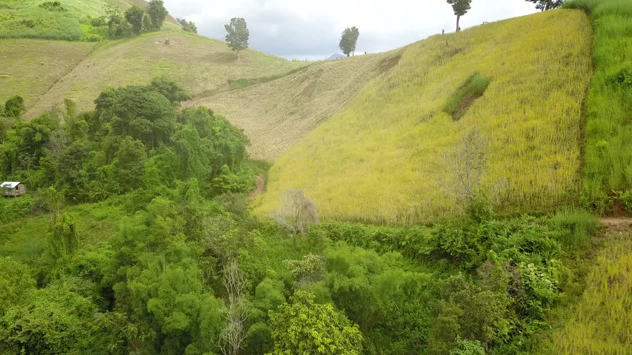 泰国北部的山景视频素材