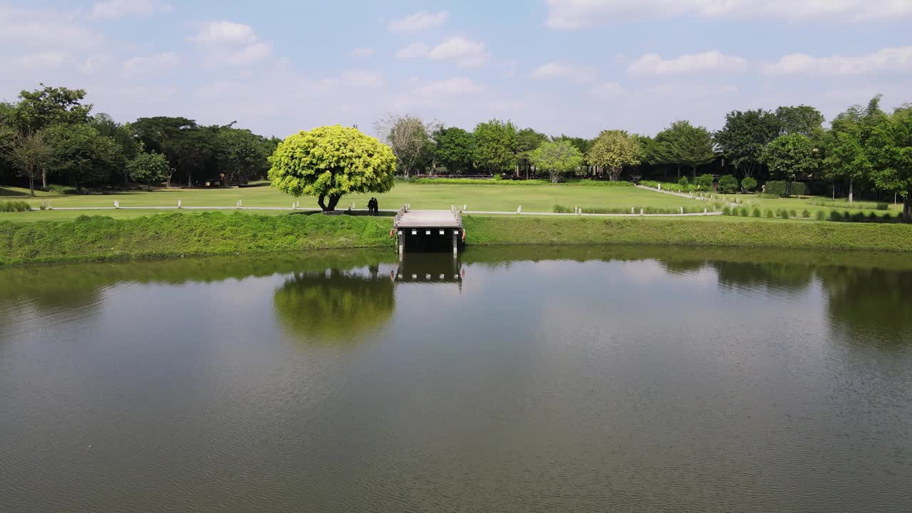 鸟瞰草地、木栈桥、蓝天湖风光视频素材