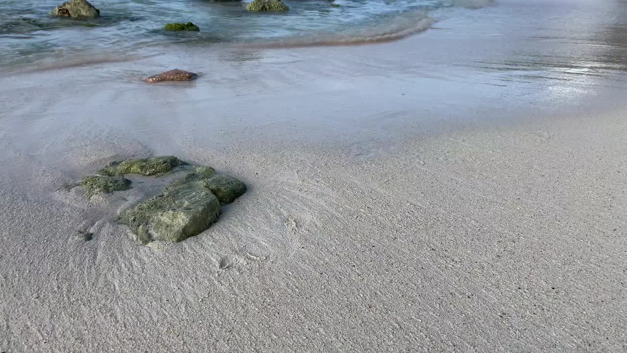 当加勒比海的海浪拍打着裸露的岩石时，雄性壮举在潮湿的沙滩上泼水。视频素材