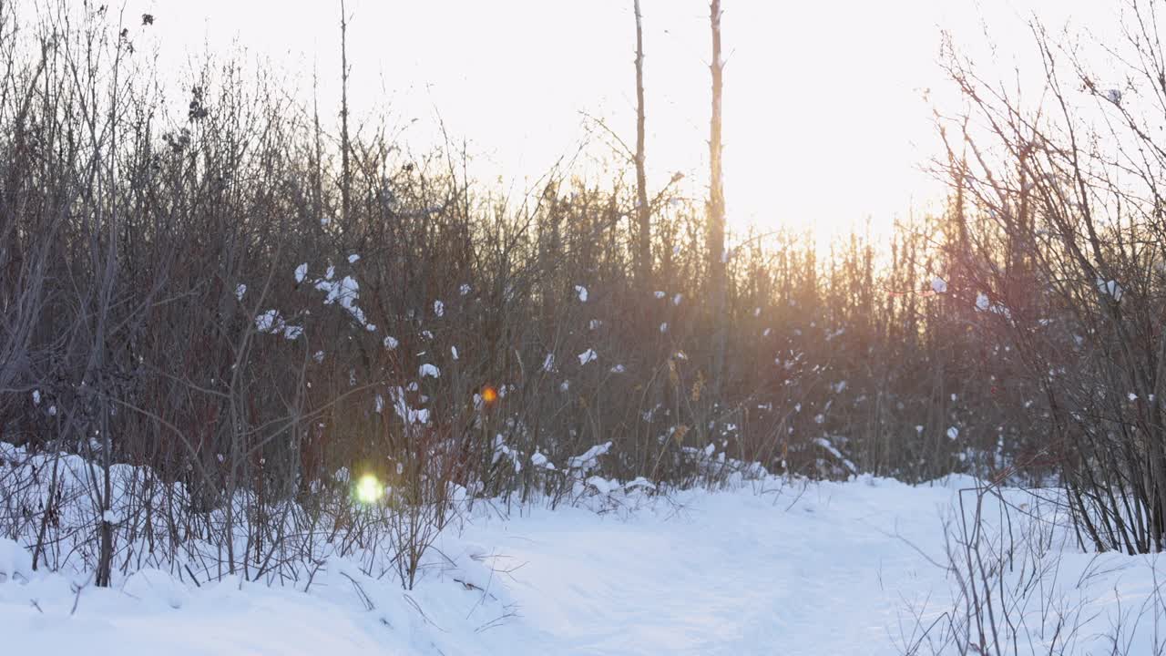 冬天，父亲和儿子穿着雪鞋在户外粉末雪中奔跑视频素材