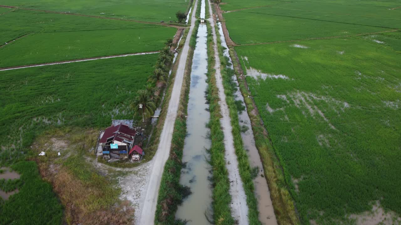 飞过稻田里的道路视频素材