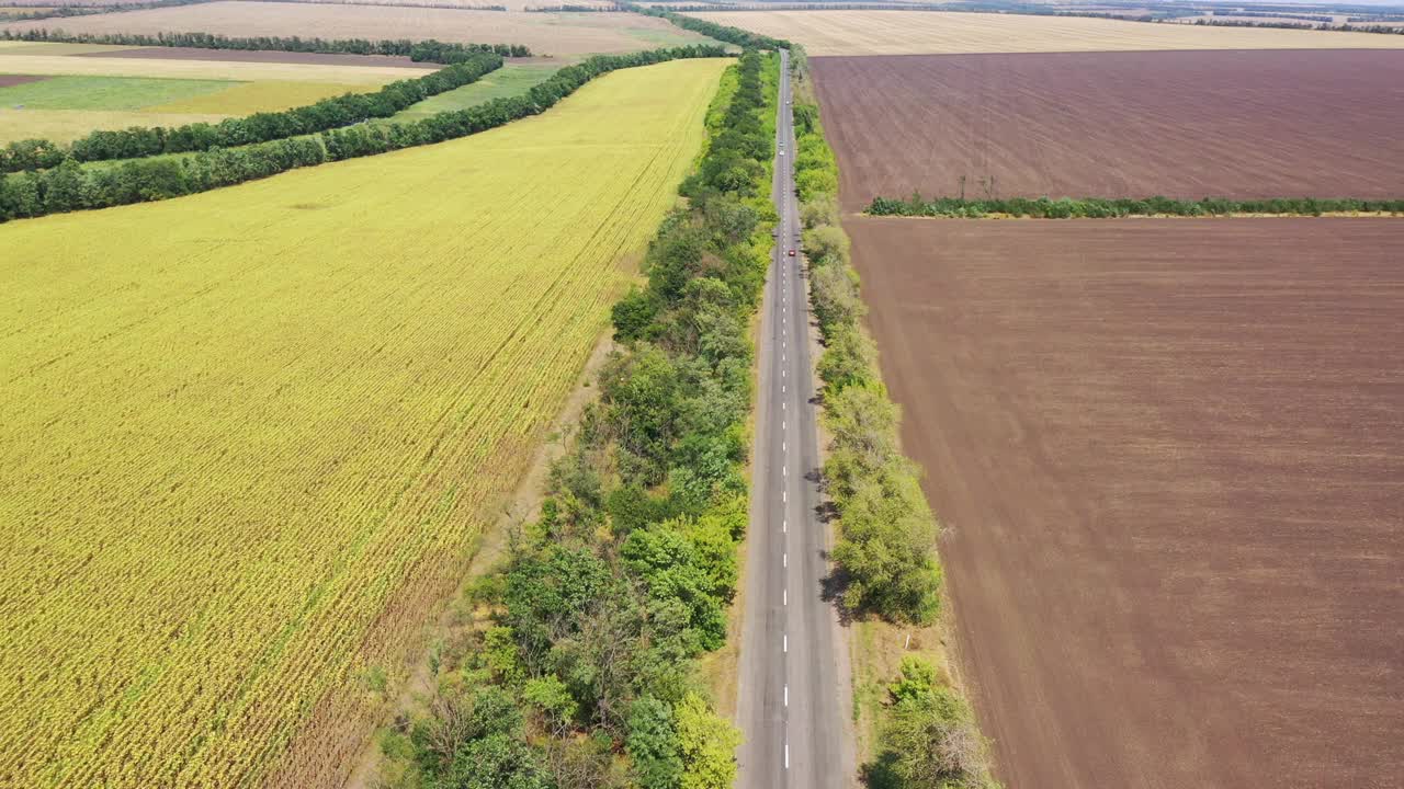 鸟瞰图。秋天犁过的地和向日葵地视频素材