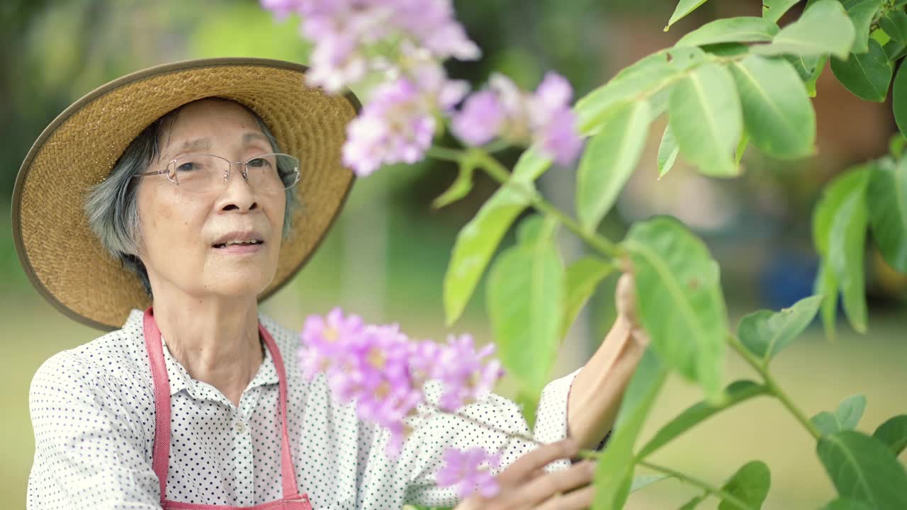 高级的女人肖像视频素材