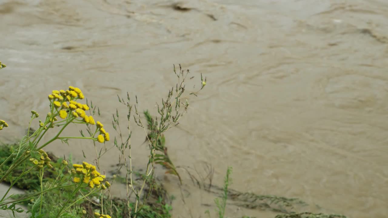 这条山间的河流在夏季的一场倾盆大雨后泛滥成灾视频素材