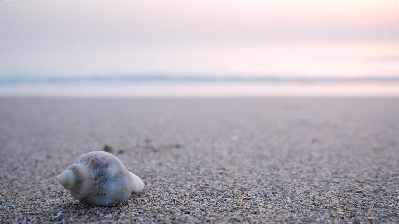 沙滩上的贝壳，背景是平静的海浪。晨光中的黑海。视频素材