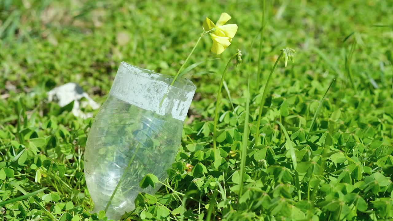 花生长在丢弃的塑料瓶垃圾上，适应大自然的污染视频素材