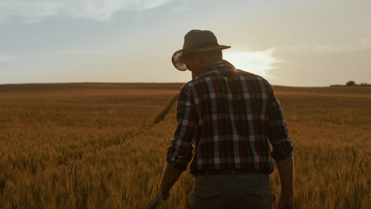 日落时分，Farmer在麦田里散步的时候，他把双臂举向空中视频素材