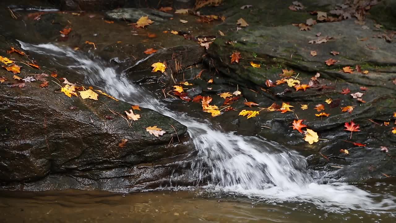 秋叶与水花淙淙视频素材