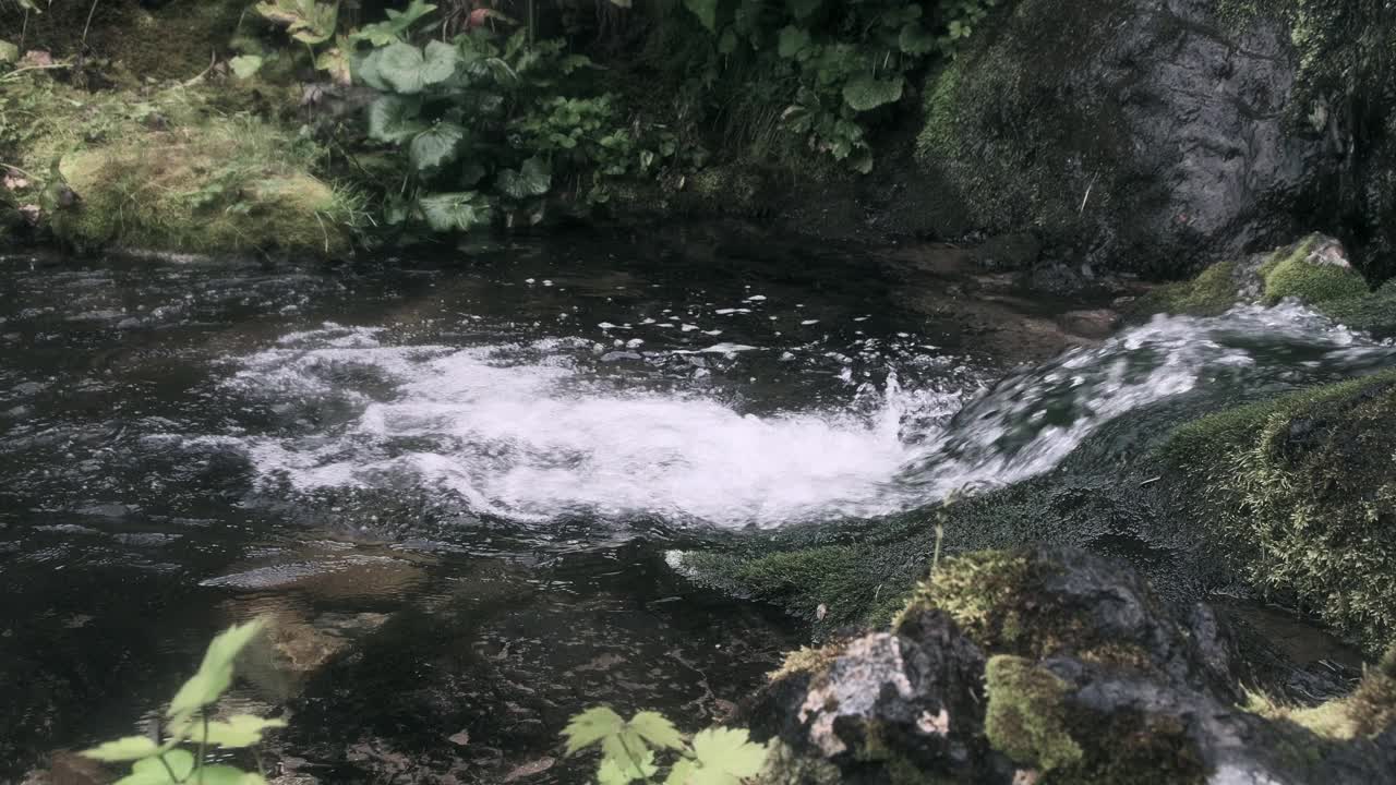 水通过长满苔藓的岩石落入池塘，流入湖中。河岸上长满了绿色的植被和树叶。热带溪流的泡沫和气泡。视频素材