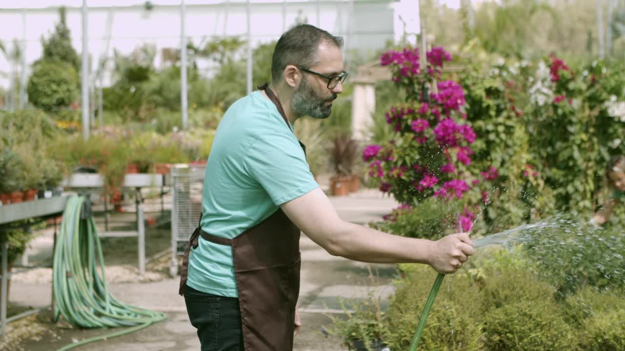 温室男专业用软管给植物浇水视频素材