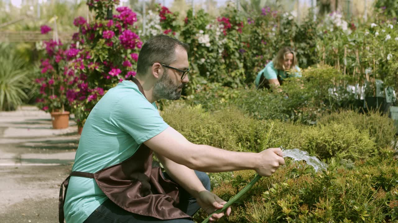 温室男工人用软管浇植物视频素材