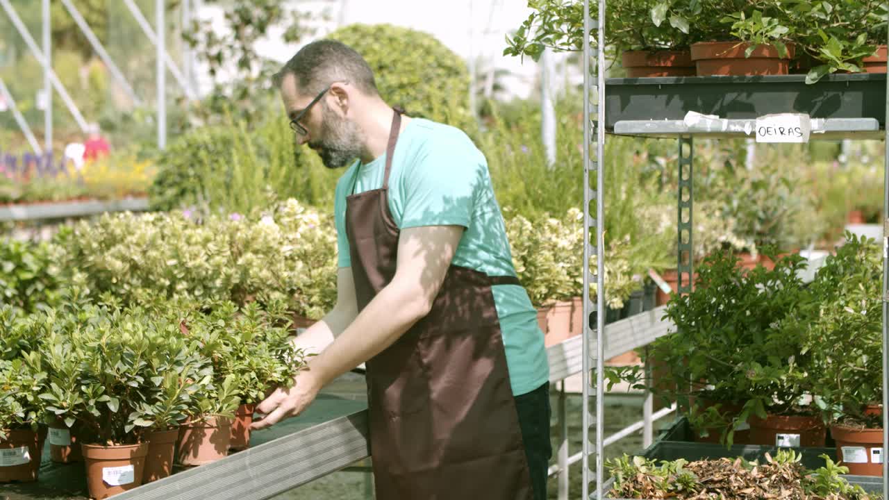 温室拉丁园丁选择家庭植物出售视频素材