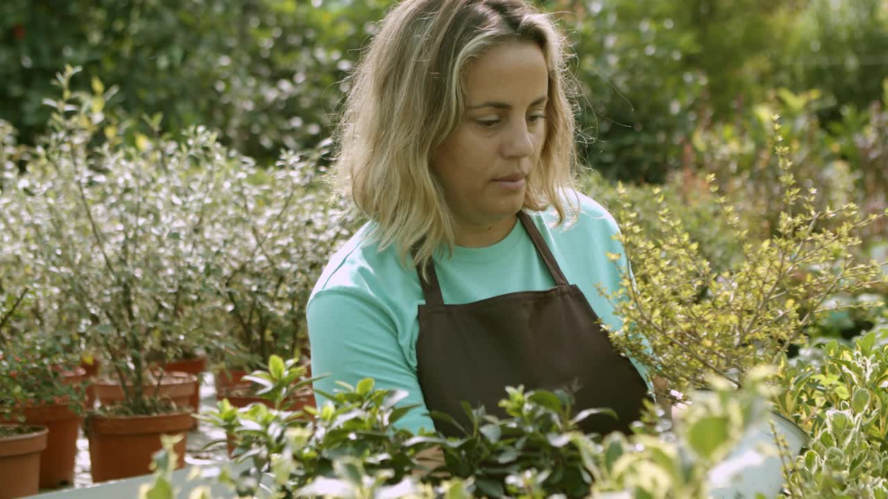 温室女员工在检查盆栽植物视频素材