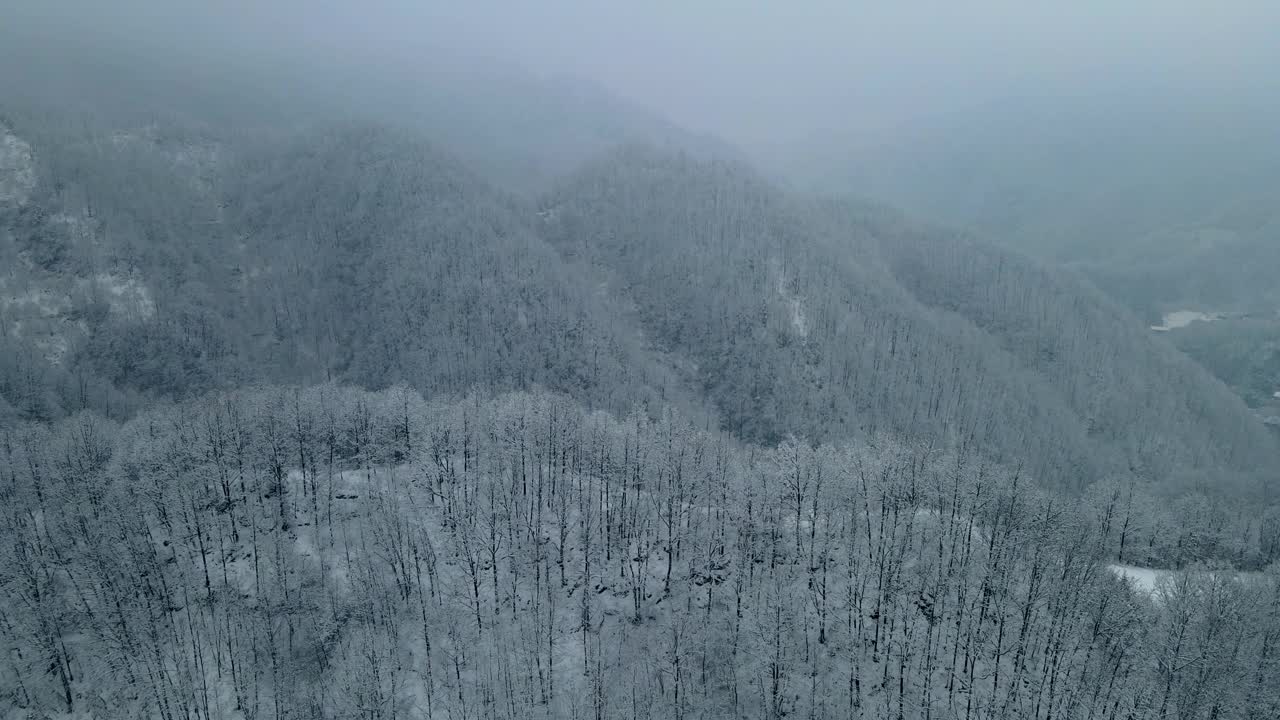 山上雪林鸟瞰图视频素材