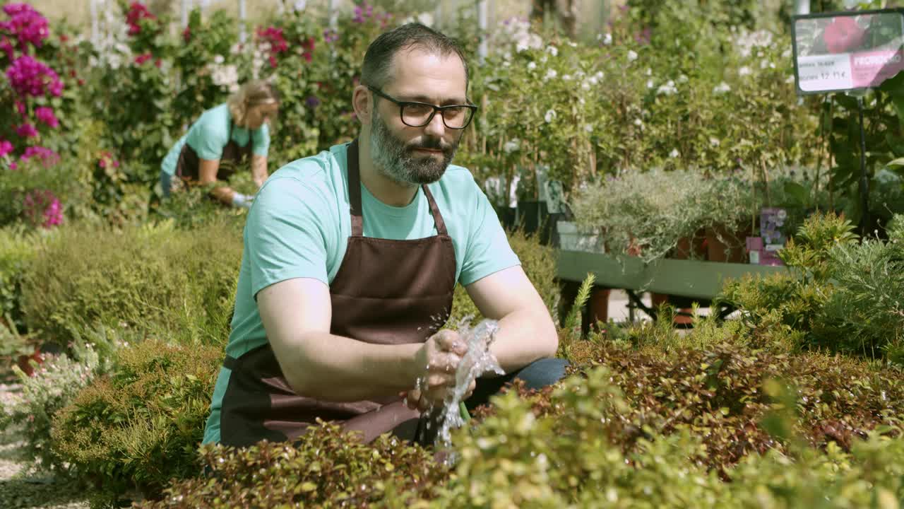 温室或花店老板在植物上洒水视频素材