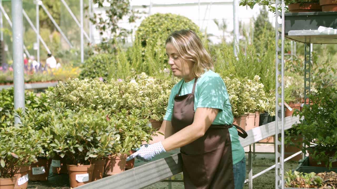 温室女业主正在挑选出售的植物视频素材