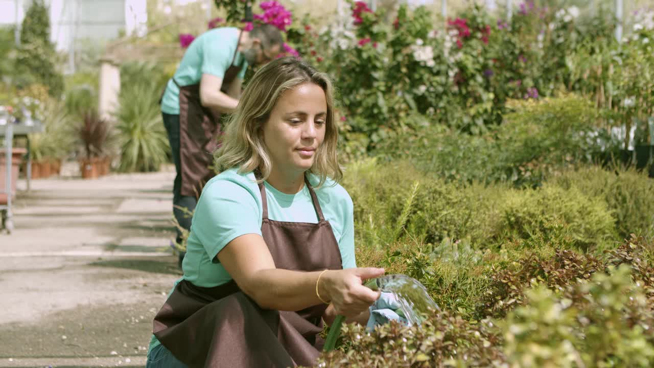 温室女专业用软管浇灌植物视频素材