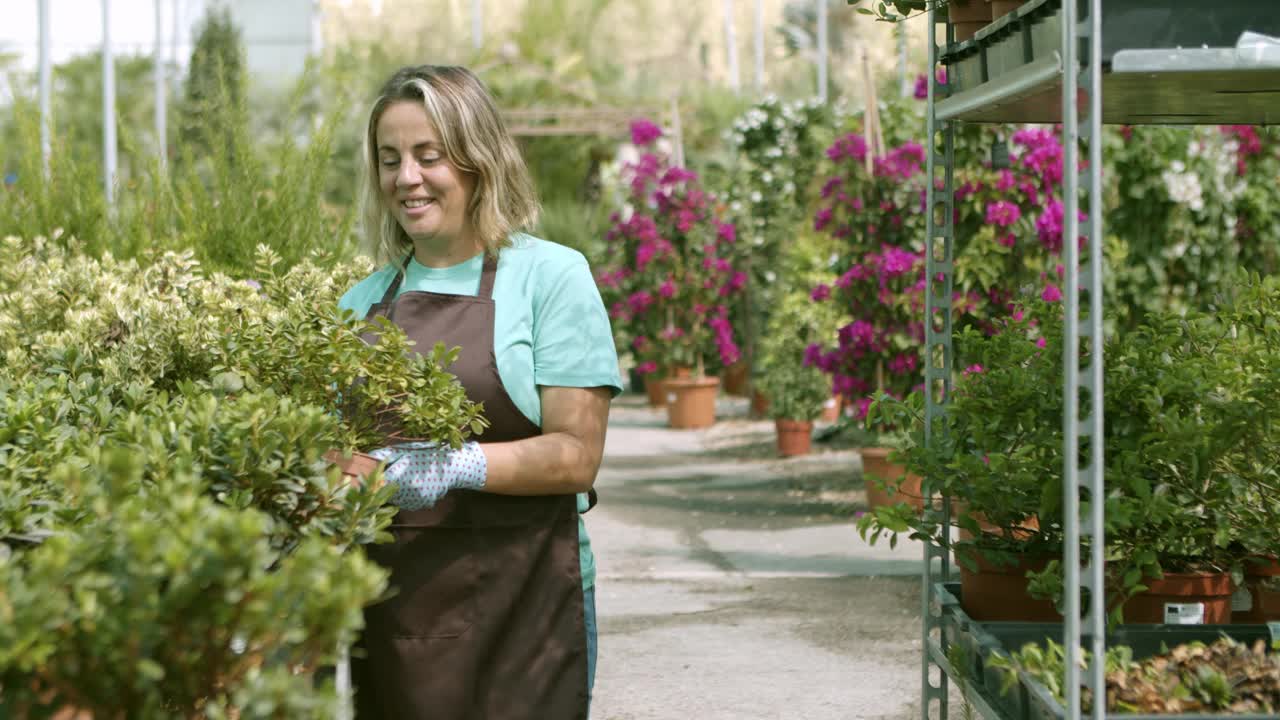 快乐的温室女主人选择家里的植物视频素材