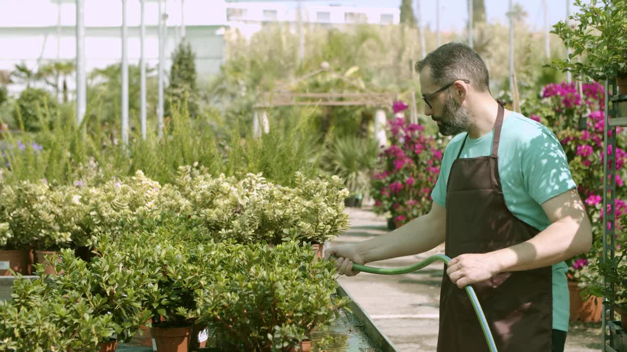 温室里，啤酒主人给植物浇水视频素材