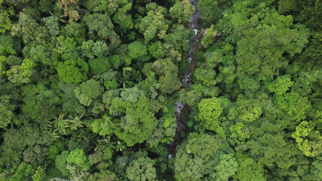 鸟瞰图的自然桥NP，澳大利亚视频素材