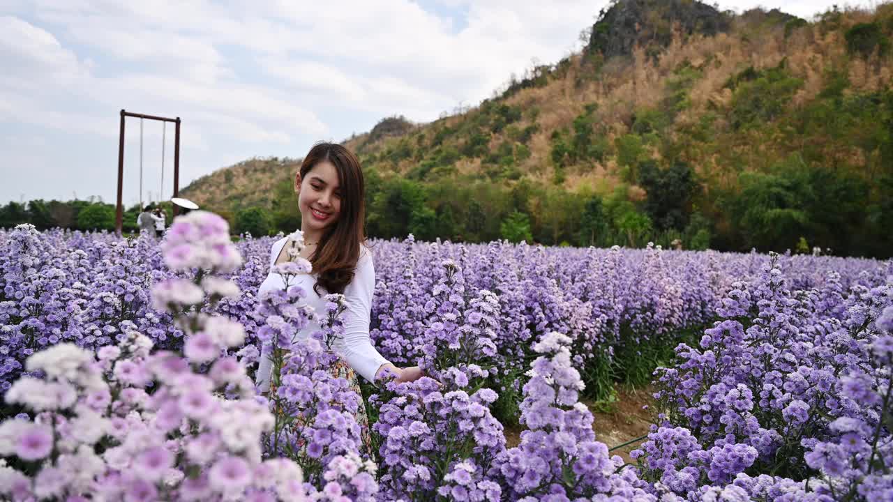 快乐年轻的亚洲女人走和触摸紫色玛格丽特花在花园里视频素材