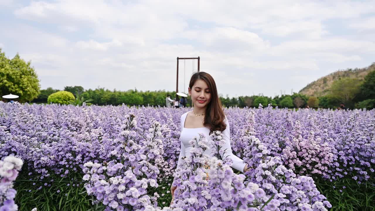 快乐年轻的亚洲女人走和触摸紫色玛格丽特花在花园里视频素材