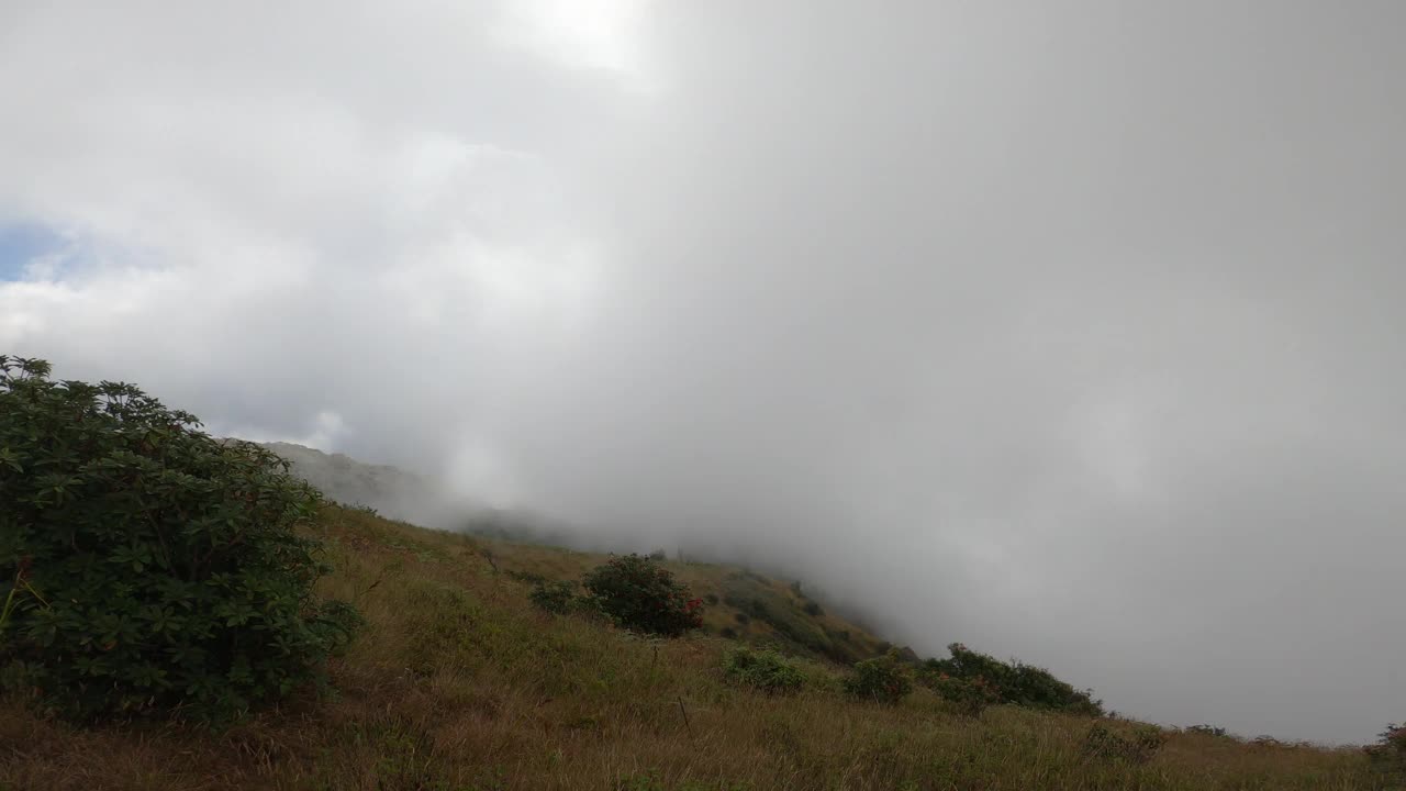 风景优美的山与雾移动在日出。冬天清晨，山顶上有雾海。视频素材