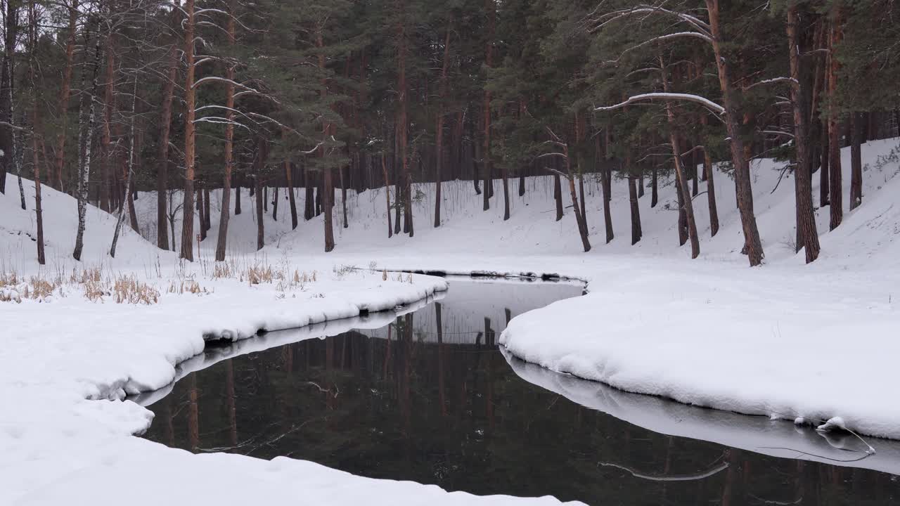 冬天雪多，森林河景。有雪树的景观。静态摄像头视频素材