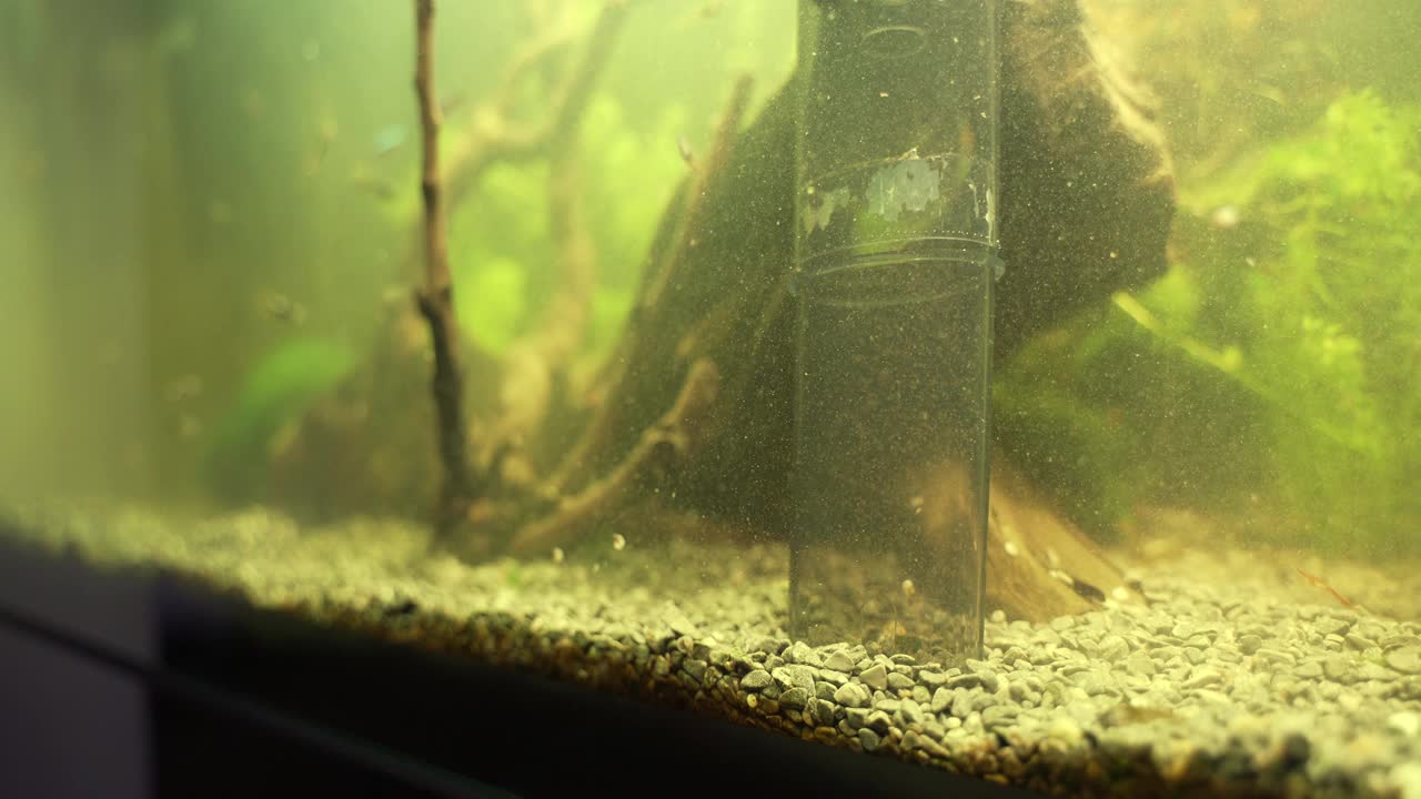 在水族箱中使用电池动力的砾石清洁剂。视频素材