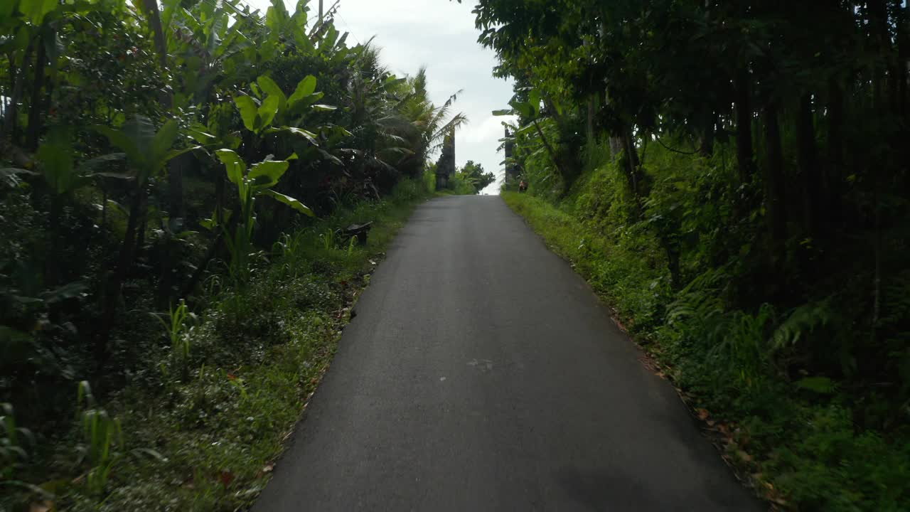 印尼巴厘岛，沿着稻田的乡间柏油路。空中街景农村道路通过热带景观在亚洲视频素材