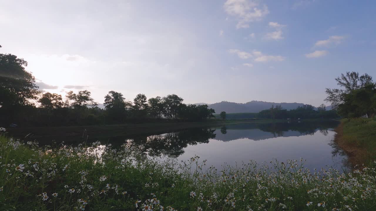 春天风景背景。湖上的日出。白色雏菊花蓝色的天空和云彩和明亮的太阳。阳光照耀。树和山在水中的倒影。令人耳目一新的风景视频素材