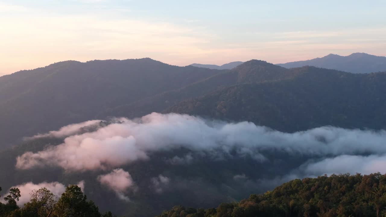 景观绿化，热带雨林和小山与雾海视频素材