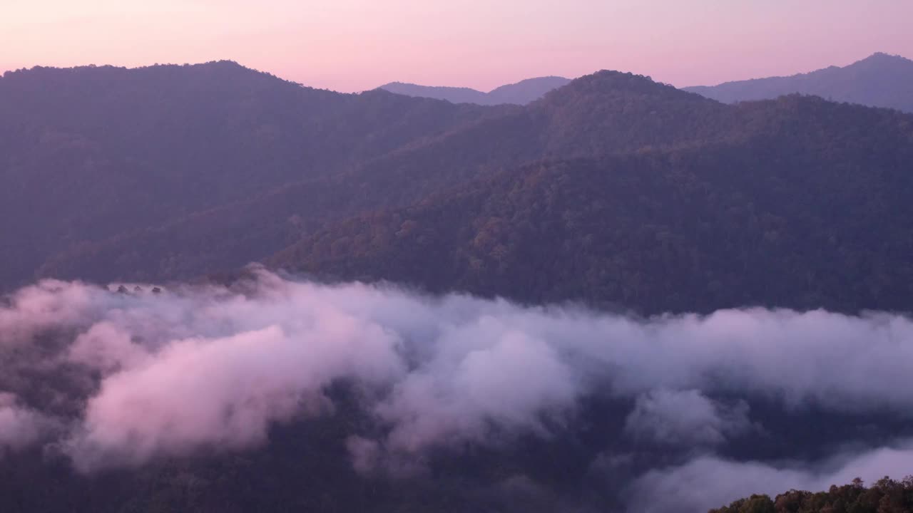 景观绿化，热带雨林和小山与雾海视频素材