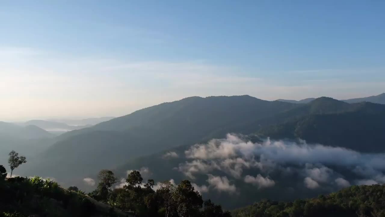 景观绿化，热带雨林和小山与雾海视频素材