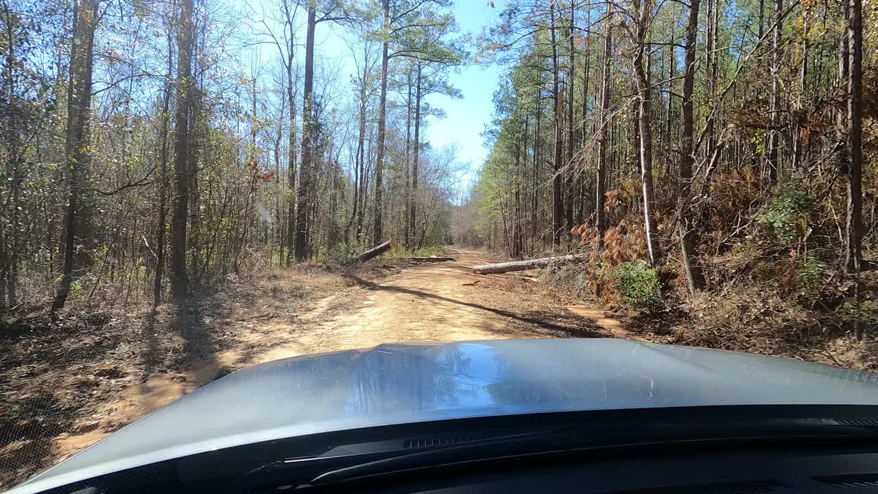 4x4驾驶通过倒下的树在森林里的土路视频素材