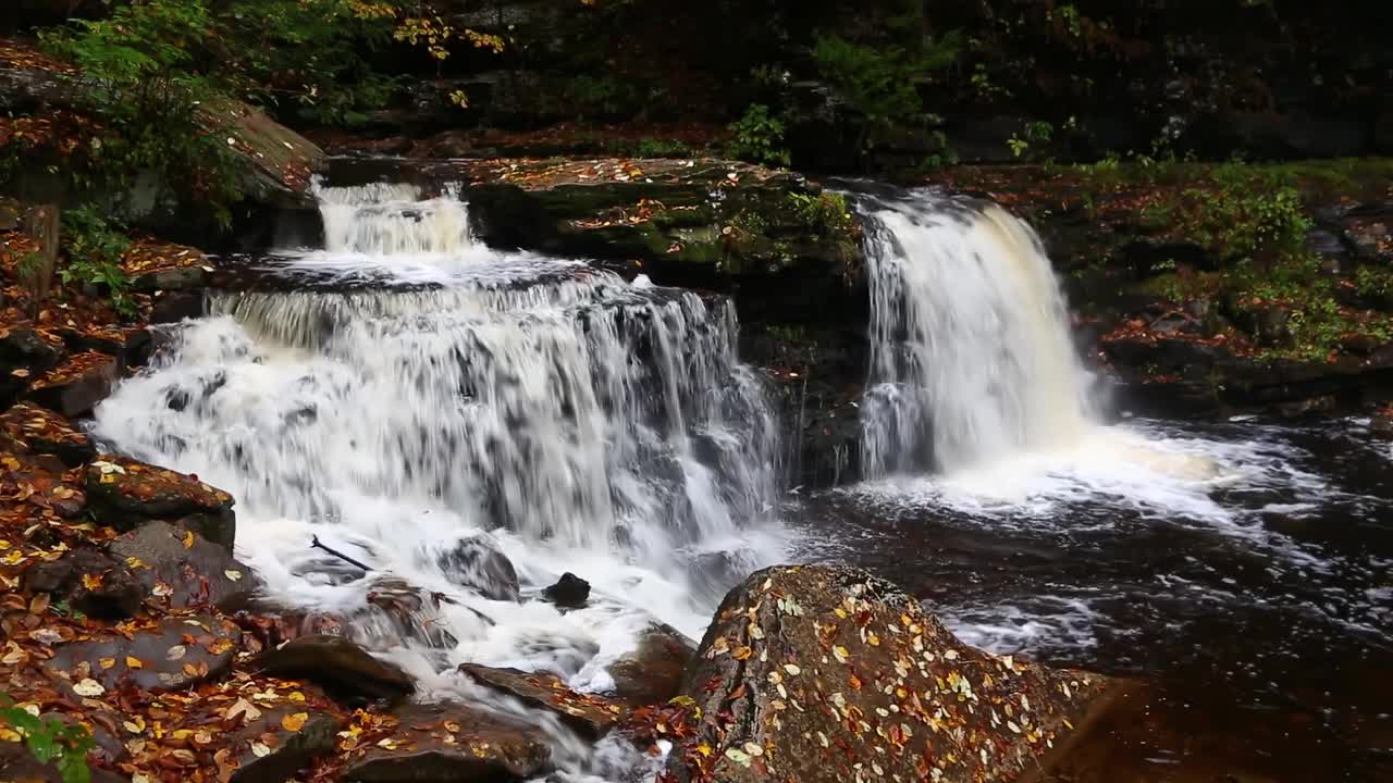 Ricketts Glen Loop的Cuyoga瀑布视频素材