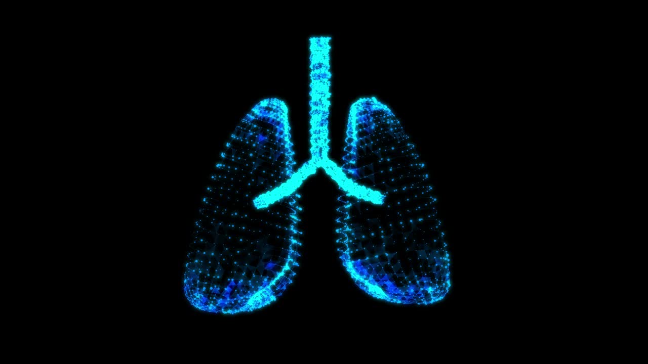 人肺有气管、支气管等内脏器官。肺医学科学技术概念。线框低多边形网格视频素材