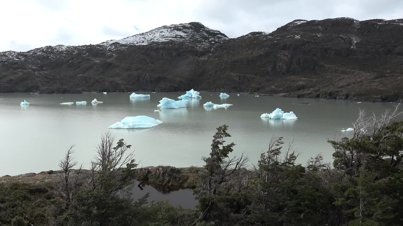 巴塔哥尼亚冰川湖中的冰山。智利。视频素材