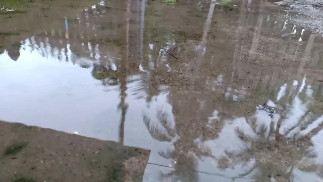 雨滴落在地上视频素材