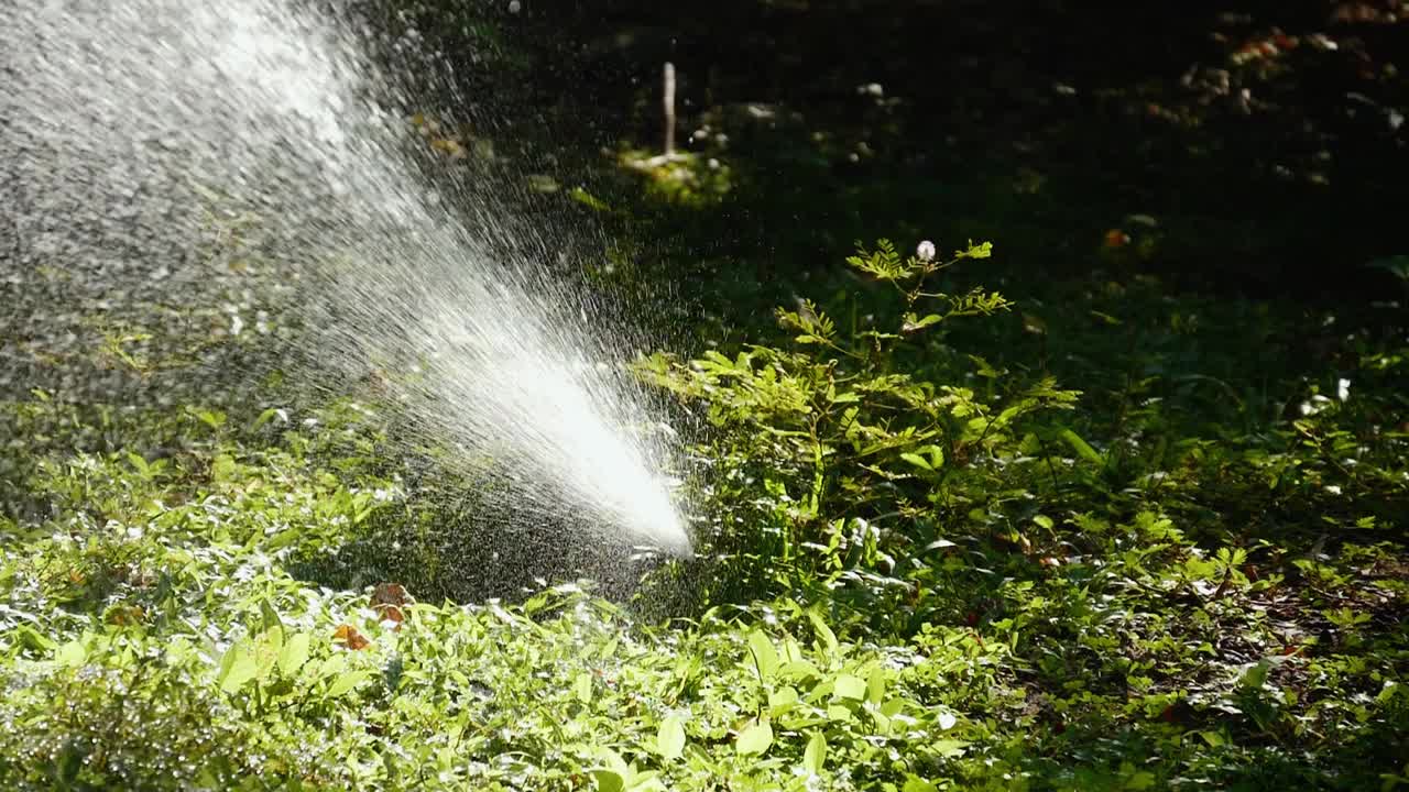 慢镜头拍摄在早晨有阳光的公园里浇草，供水的概念。视频素材