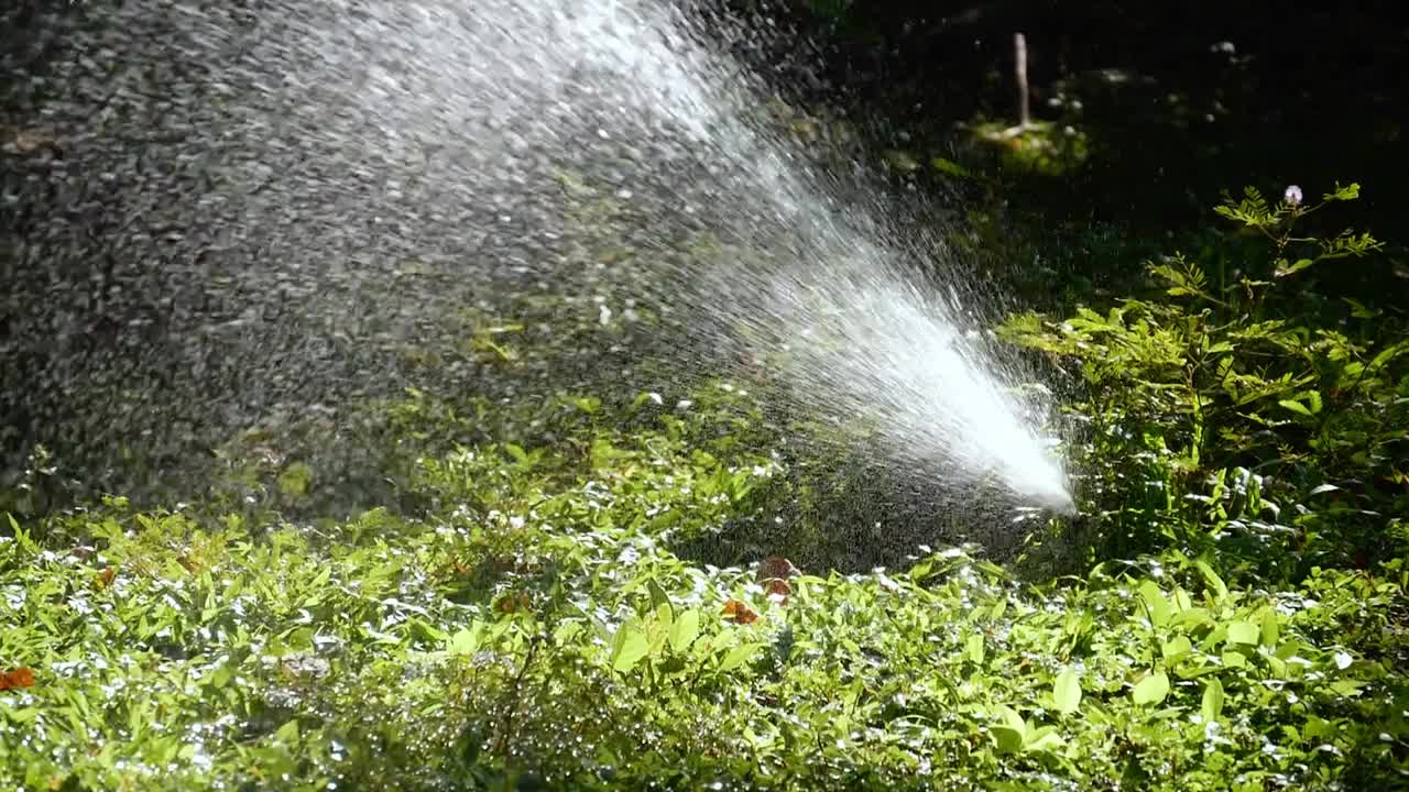 慢镜头拍摄在早晨有阳光的公园里浇草，供水的概念。视频素材