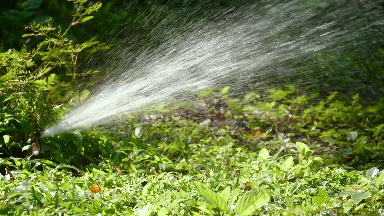 慢镜头拍摄在早晨有阳光的公园里浇草，供水的概念。视频素材